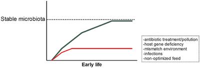 A Comparative Review on Microbiota Manipulation: Lessons From Fish, Plants, Livestock, and Human Research